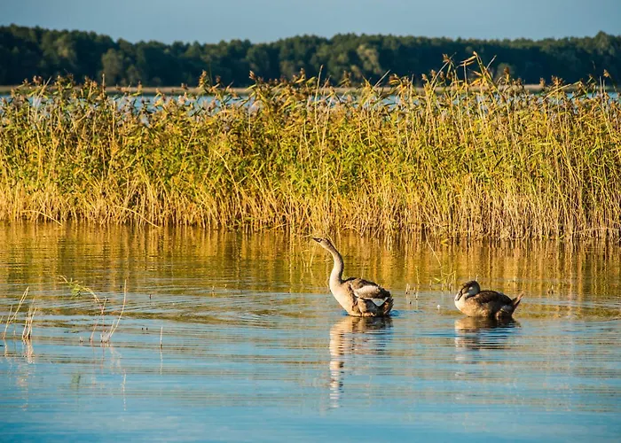 Aparthotel Euforiaport
